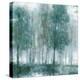 Somber Forest 1-Norman Wyatt Jr^-Stretched Canvas