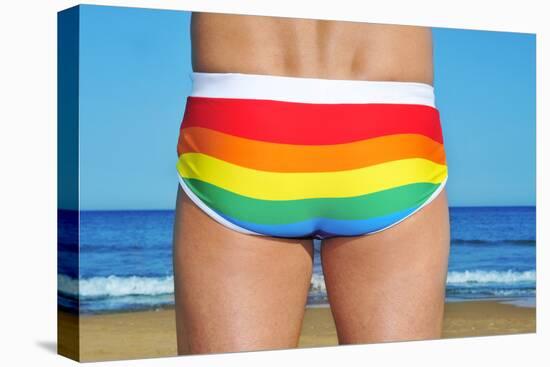 Someone Wearing a Rainbow Swimsuit on the Beach-nito-Premier Image Canvas