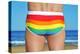 Someone Wearing a Rainbow Swimsuit on the Beach-nito-Premier Image Canvas