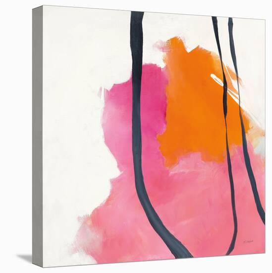 Somersault II-Mike Schick-Stretched Canvas