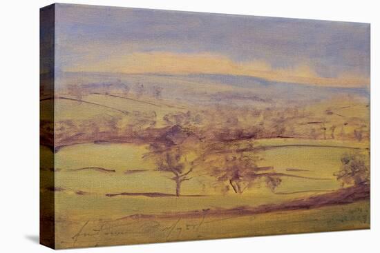 Somerset Trees, 2023 (Oil on Canvas)-Antonia Myatt-Premier Image Canvas