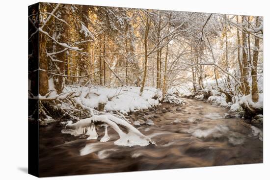 Sometimes the World is Perfect-Philippe Sainte-Laudy-Premier Image Canvas