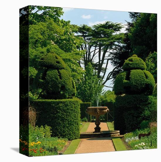 Somptuous Garden IX-null-Stretched Canvas