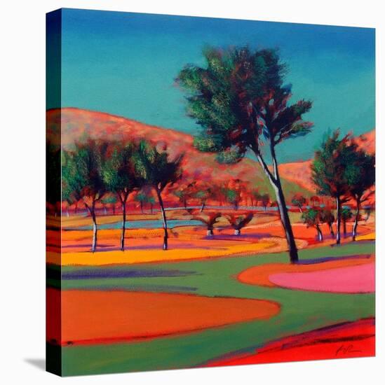 Son Vida 2-Paul Powis-Premier Image Canvas