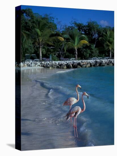 Sonesta Island, Aruba, Caribbean-Robin Hill-Premier Image Canvas