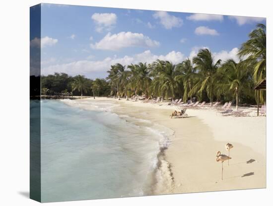 Sonesta Island, Aruba, West Indies, Dutch Caribbean, Central America-Sergio Pitamitz-Premier Image Canvas