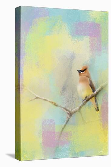 Song of the Waxwing-Jai Johnson-Premier Image Canvas