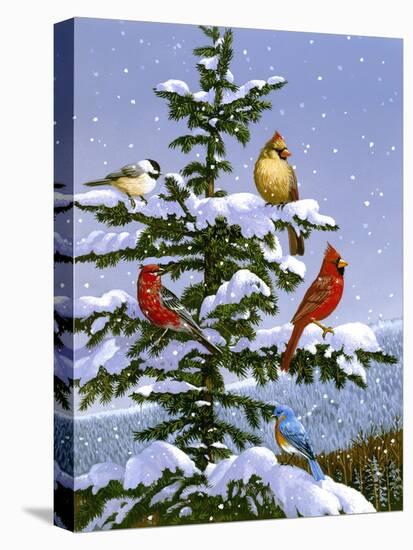 Songbirds on a Limb-William Vanderdasson-Premier Image Canvas