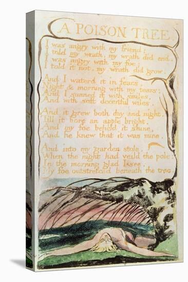 Songs of Experience; a Poison Tree, 1794 (Relief Etching, Watercolour, Pen)-William Blake-Premier Image Canvas