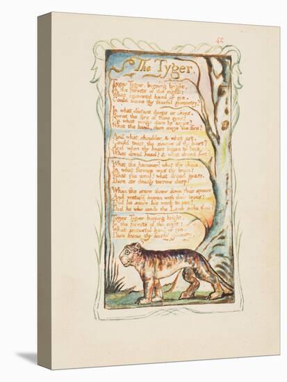 Songs of Innocence and of Experience: The Tyger, c.1825-William Blake-Premier Image Canvas