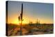 Sonoran Desert Catching Day's Last Rays.-Anton Foltin-Premier Image Canvas