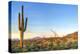 Sonoran Desert Catching Days Last Rays.-Anton Foltin-Premier Image Canvas