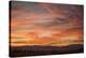 Sonoran Sunset-Aaron Matheson-Premier Image Canvas