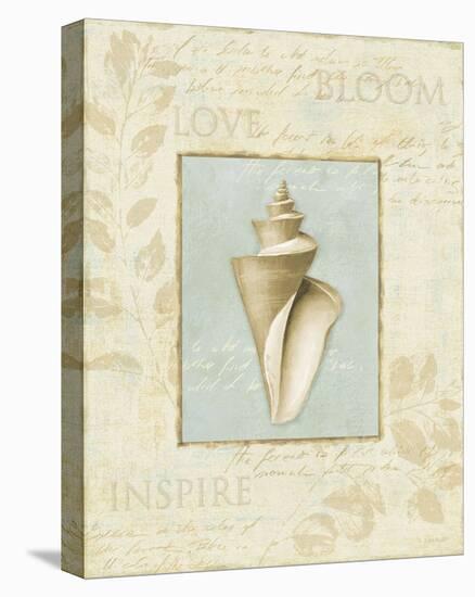 Soothing Words Shells III-Lisa Audit-Stretched Canvas