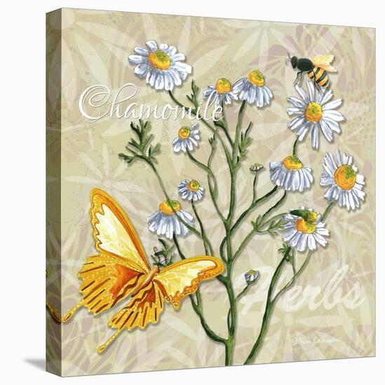 Sophisticated Elegant Herbs Spices Chamomile Daisy-Megan Aroon Duncanson-Stretched Canvas