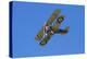 Sopwith Camel, WWI Fighter Plane, War Plane-David Wall-Premier Image Canvas