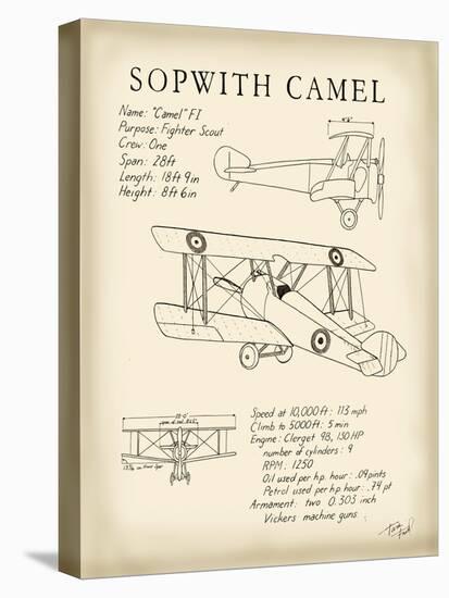 Sopwith Camel-Tara Friel-Stretched Canvas