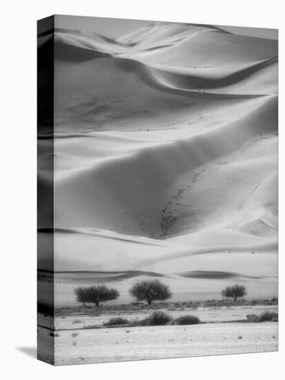 Sossusvlei Sand Dunes-Stuart Westmorland-Premier Image Canvas