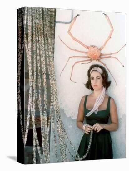 Soudain l'ete dernier SUDDENLY, LAST SUMMER, 1959 by JOSEPH L. MANKIEWICZ with Elizabeth Taylor (ph-null-Stretched Canvas