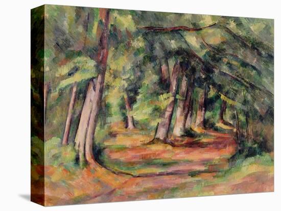 Sous-Bois 1890-94-Paul Cézanne-Premier Image Canvas