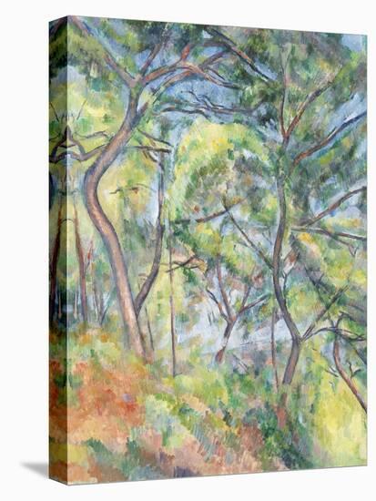 Sous-Bois, c.1894-Paul Cezanne-Premier Image Canvas