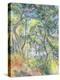 Sous-Bois, c.1894-Paul Cezanne-Premier Image Canvas