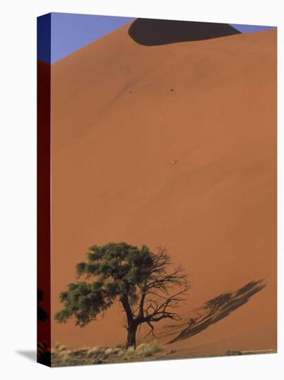 Soussevlei Sand Dune at Sunrise, Namibia-Claudia Adams-Premier Image Canvas