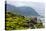 South Africa, Garden Route, Hermanus-Catharina Lux-Premier Image Canvas