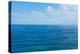 South Africa, Garden Route, Sea, Horizon-Catharina Lux-Premier Image Canvas