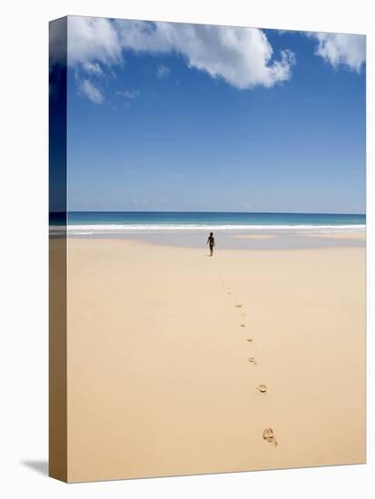 South America, Brazil, Pernambuco, Fernando De Noronha Island-Alex Robinson-Premier Image Canvas