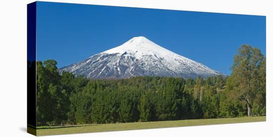 South America, Chile, Patagonia, Volcano Villarrica, Snowy Summit, Forest-Chris Seba-Premier Image Canvas