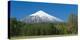 South America, Chile, Patagonia, Volcano Villarrica, Snowy Summit, Forest-Chris Seba-Premier Image Canvas