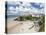 South Beach, Tenby, Pembrokeshire, Wales, United Kingdom, Europe-David Clapp-Premier Image Canvas