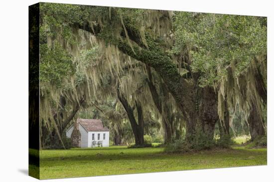 South Carolina, Ace Basin NWR. Spanish Moss on Oak Trees-Don Paulson-Premier Image Canvas