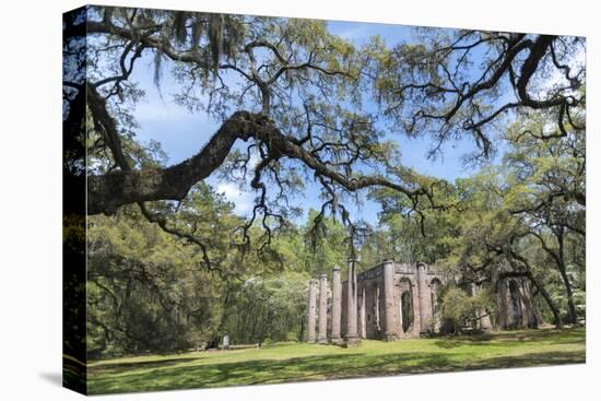 South Carolina, Beaufort County, Old Sheldon Church-Jim Engelbrecht-Premier Image Canvas