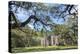 South Carolina, Beaufort County, Old Sheldon Church-Jim Engelbrecht-Premier Image Canvas