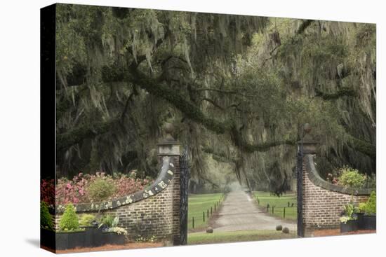 South Carolina, Charleston. Entrance to Boone Hall Plantation-Jaynes Gallery-Premier Image Canvas