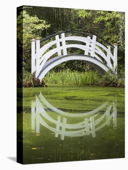 South Carolina, Charleston, Magnolia Plantation. Arching Bridge-Don Paulson-Premier Image Canvas