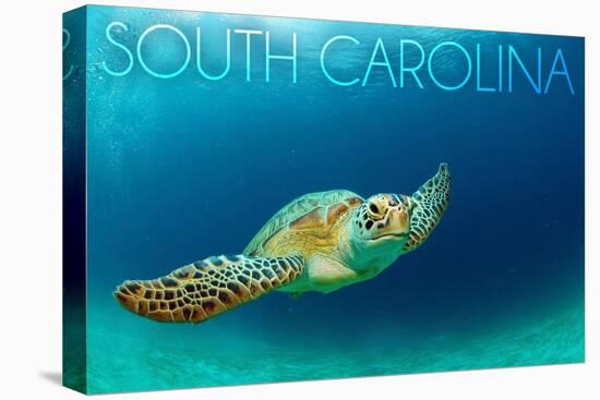 South Carolina - Sea Turtle-Lantern Press-Stretched Canvas