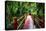 South Carolina Zen Path-George Oze-Premier Image Canvas