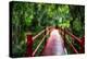 South Carolina Zen Path-George Oze-Premier Image Canvas