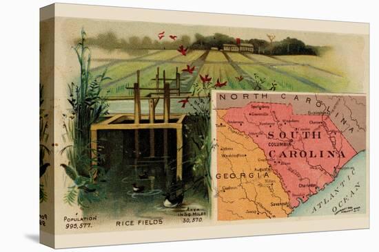 South Carolina-Arbuckle Brothers-Stretched Canvas