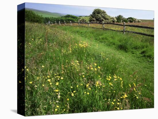 South Downs Way Near East Dean, East Sussex, England, United Kingdom-Kathy Collins-Premier Image Canvas