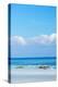 South East Asia, Philippines, the Visayas, Cebu, Bantayan Island, Paradise Beach-Christian Kober-Premier Image Canvas