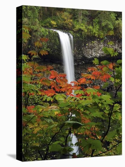 South Falls in Autumn, Silver Falls State Park, Oregon, USA-Michel Hersen-Premier Image Canvas