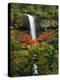 South Falls in Autumn, Silver Falls State Park, Oregon, USA-Michel Hersen-Premier Image Canvas