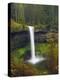 South Falls in Spring: Silver Falls State Park, Oregon, USA-Michel Hersen-Premier Image Canvas