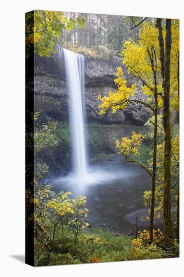 South Falls, Silver Falls State Park, Oregon, USA-Jamie & Judy Wild-Premier Image Canvas