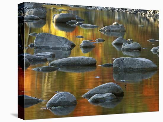 South Fork Potomac R, Monongahela National Forest, West Virginia, USA-Charles Gurche-Premier Image Canvas