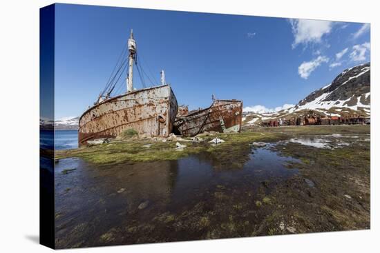 South Georgia Island, Grytviken. Abandoned Whaling Ships and Whaling Station Gather Rust-Jaynes Gallery-Premier Image Canvas